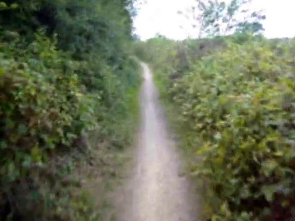 courir le long de la vilaine de rennes à pont-réan