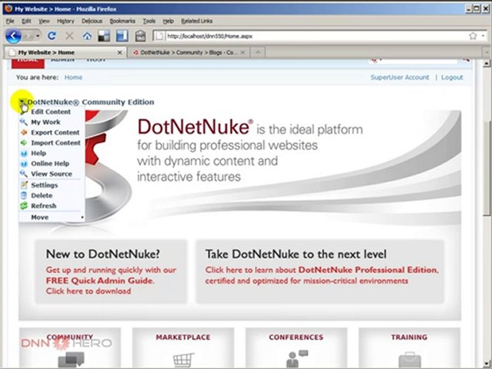DotNetNuke Tutorial, What the hell is "Taxonomy"?