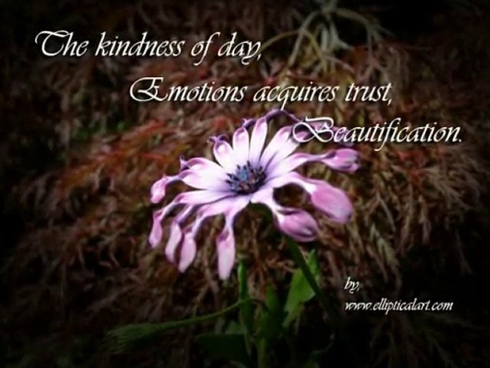 Discover Unique Elliptical Art to Enhance Your Personal Connections ✨