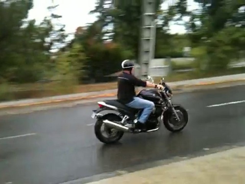 Bulldog Silencieux 🐶