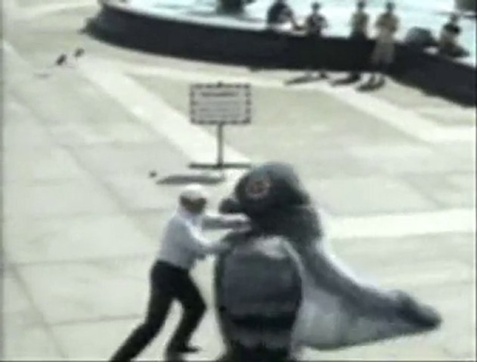 Голубь атакует человека - супер прикол )))