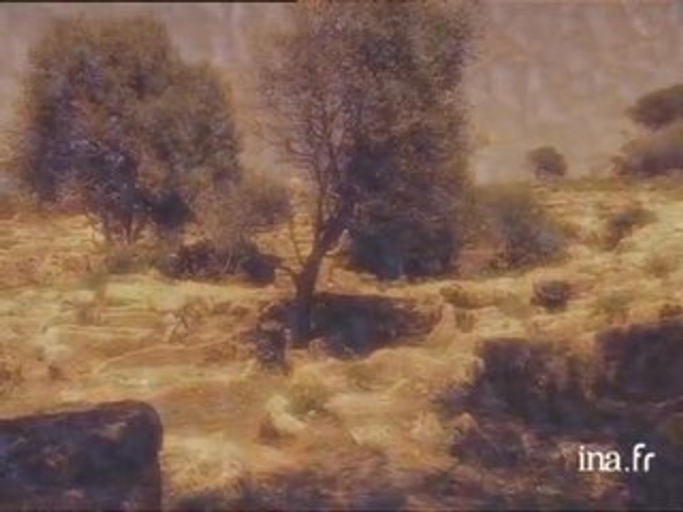 Daniel Rondeau : Carthage