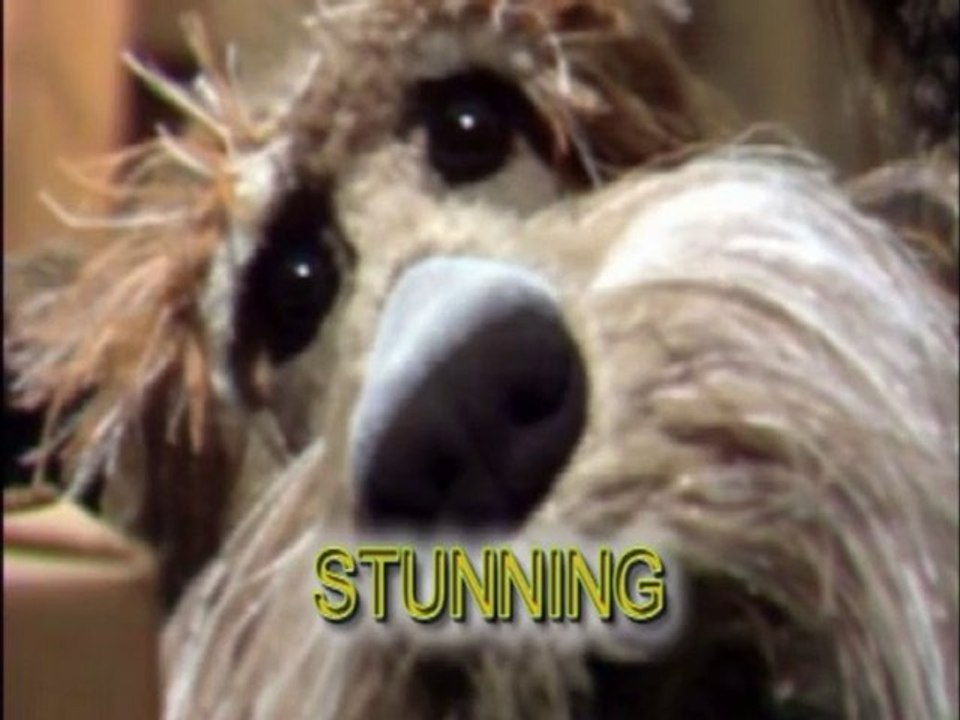 Sponsor Gamu Today 🎤