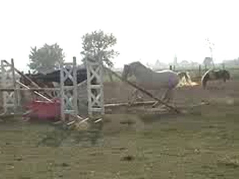 théoréme du fressy