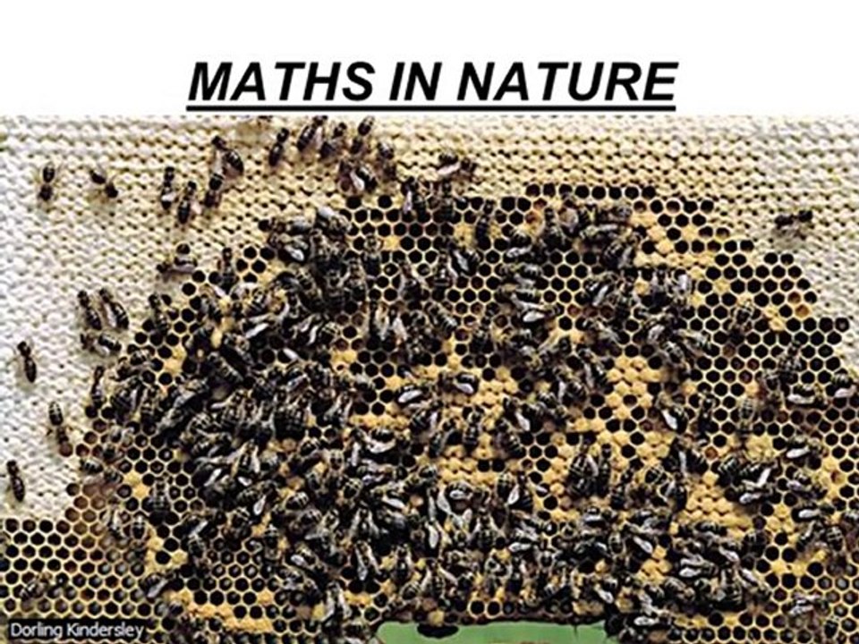 MATHS PROJECT BY SIDDHANT JAIN 11 CLASS