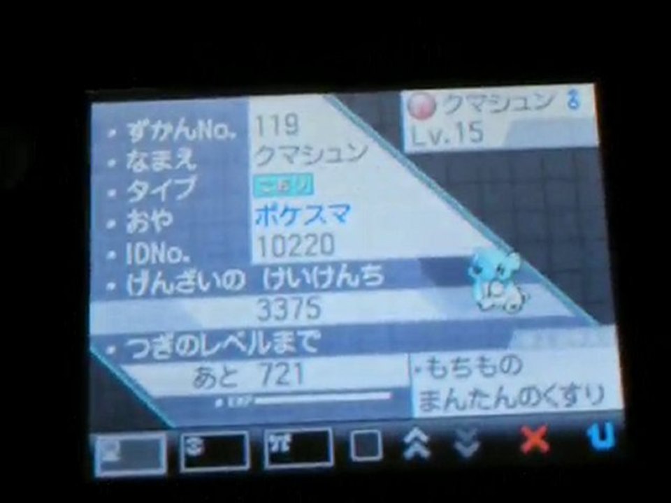 Kumashun Event Black White Pokemon lvl 15