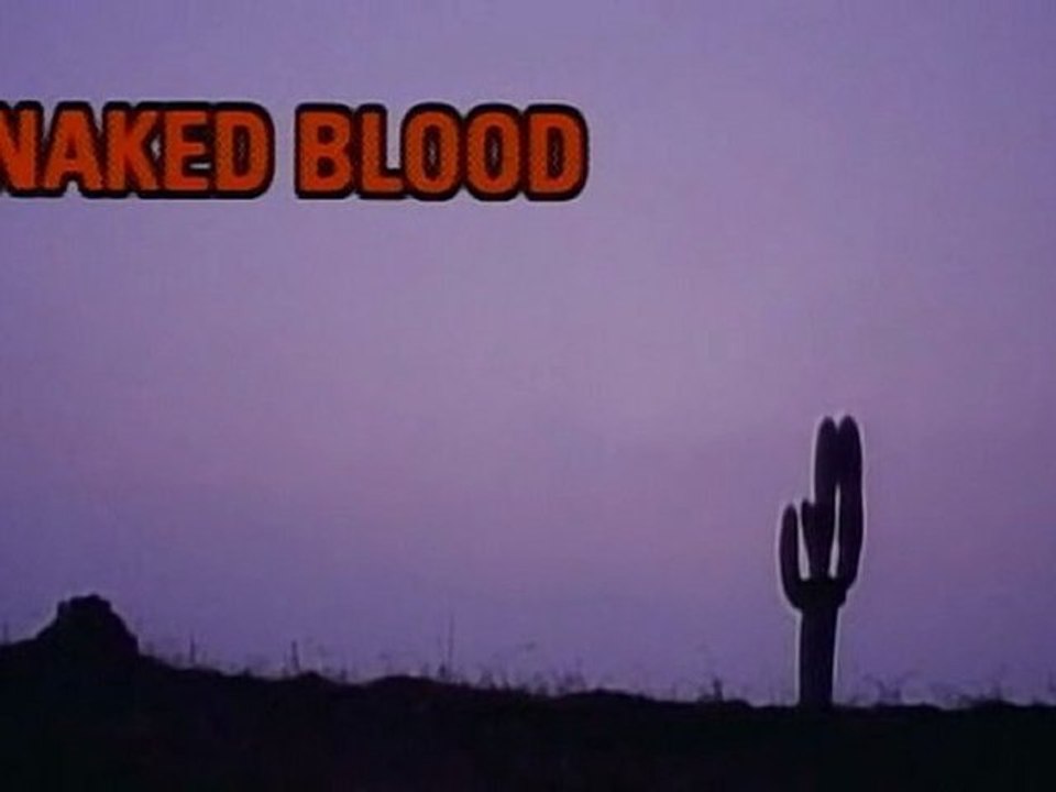 Naked Blood (1995) by Hisayasu Sato 🎥