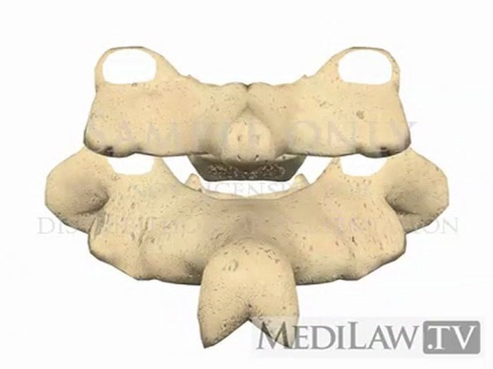 Cervical Spine Anatomy Facet Joint Zygoapophysial physiotherapy graphics