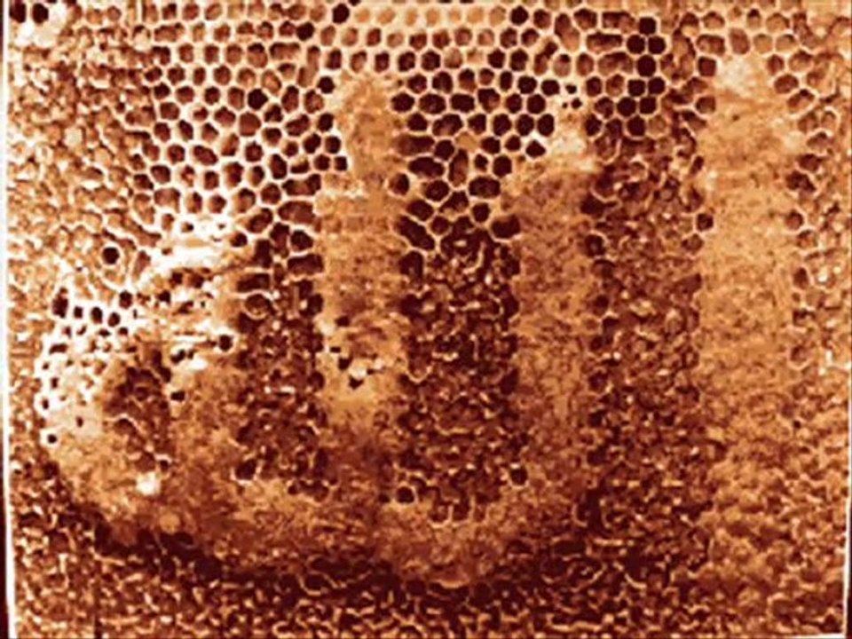 Les Miracles d'allah