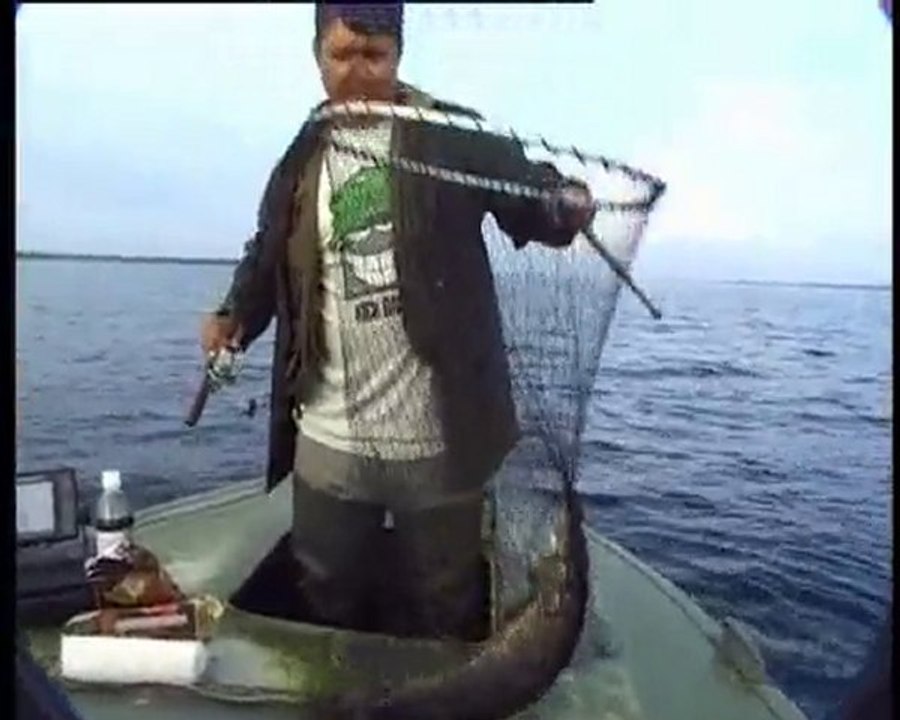 Рыбачьте с нами(Окунь) rybalka.lt