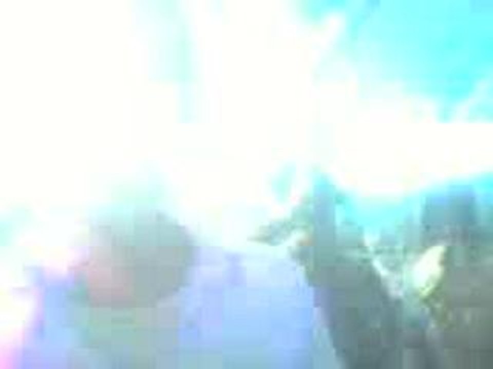 Camargue - Benassi Bross