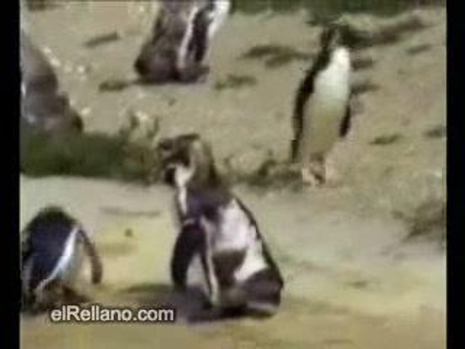 Friday Versus Monday