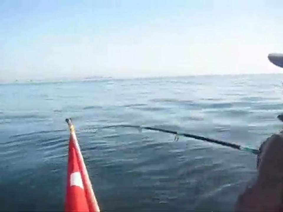 F. Ozkan Levrekci Yayıncı - 22-12 F