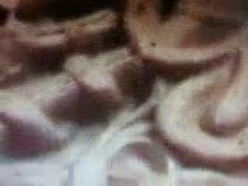 kairouan tunisie mosquée okba ibn nafaa (5)