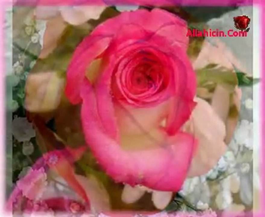 BANA GÜLLER DERİN, KIRMIZI GÜLLER VERİN