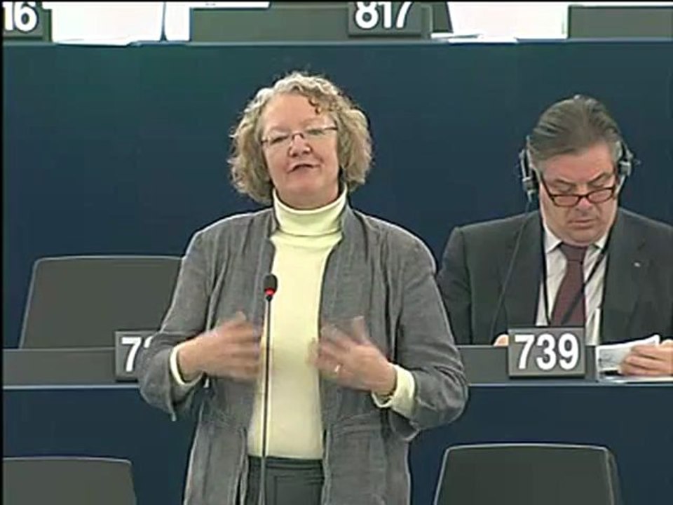 Gesine Meissner on Explanations of vote