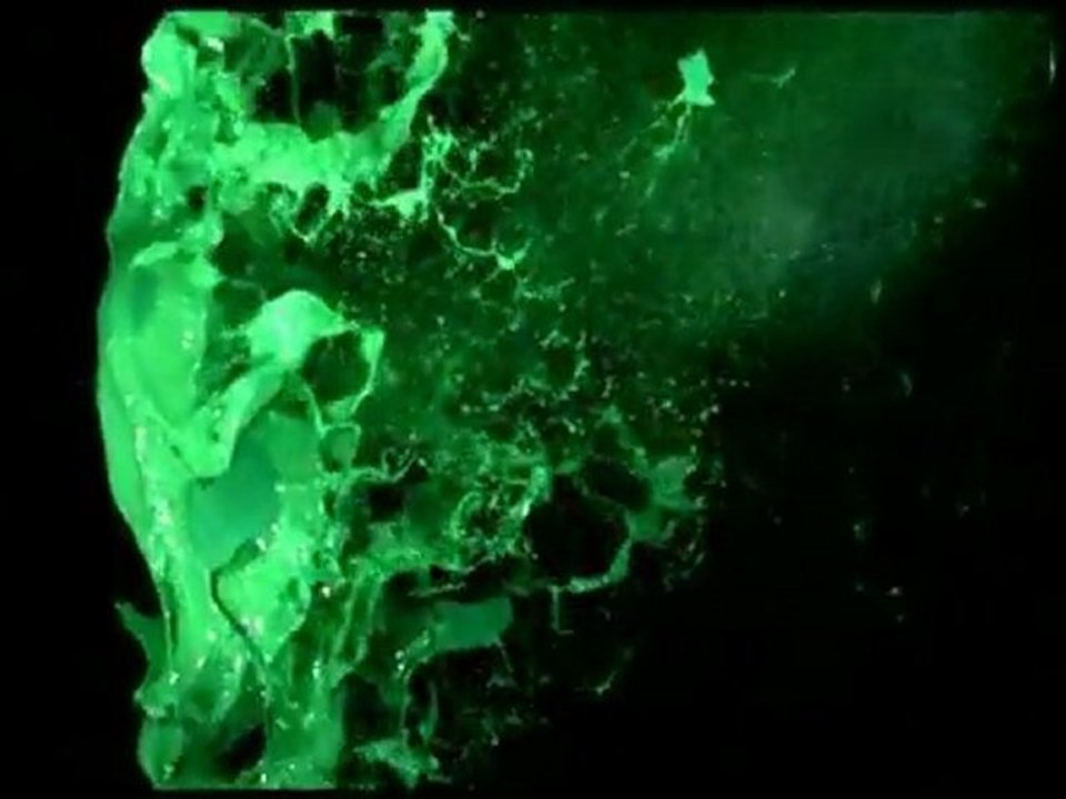 EBW8 Tour Visual Overview