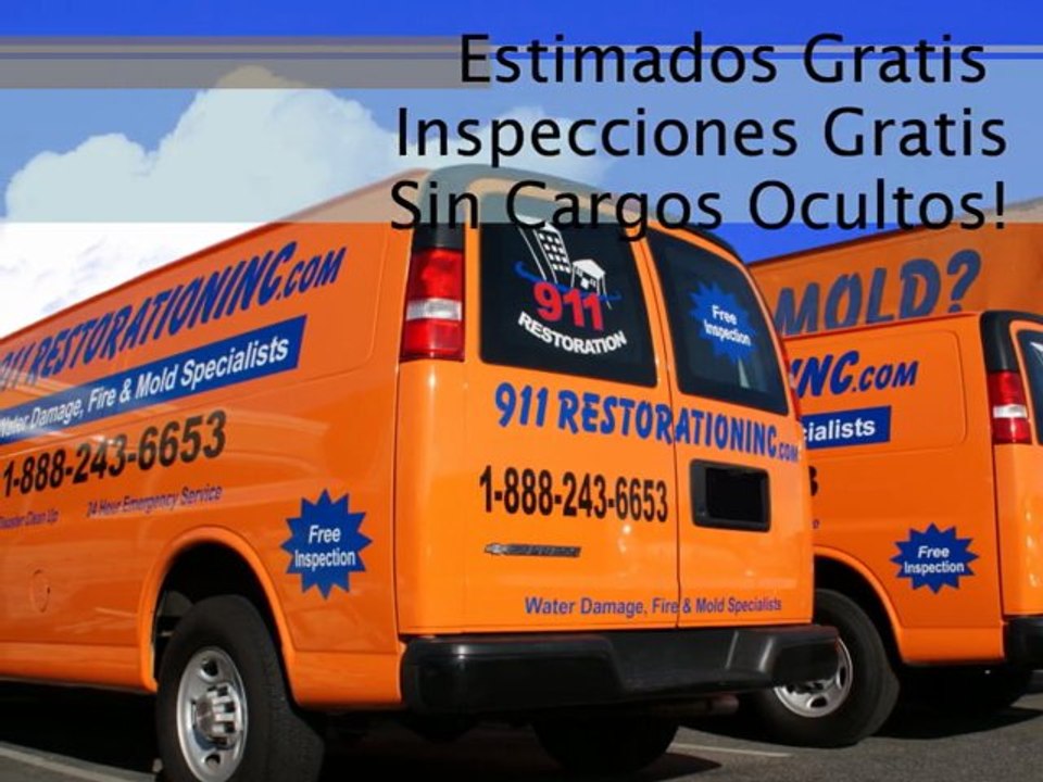 Eliminación de Moho Mold - 911 Restoration of San Antonio