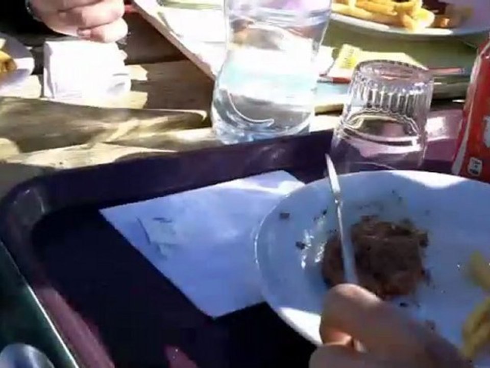 Ski 2011 Barbra Streisand youtube