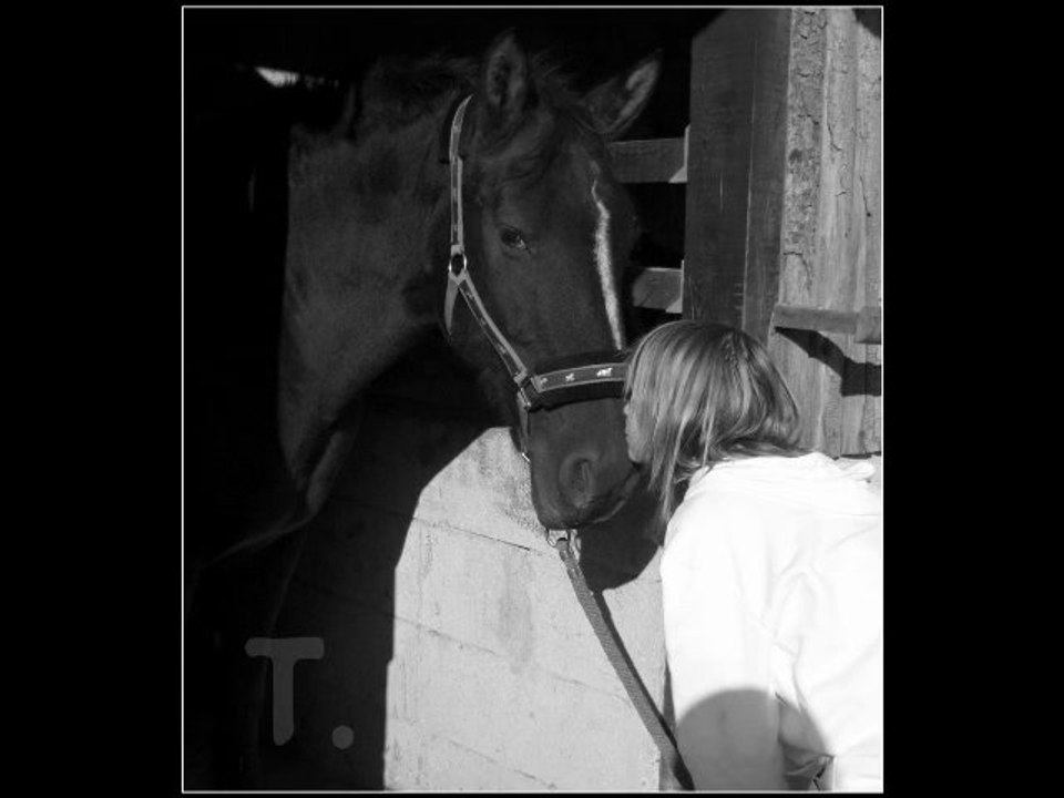 » I will always love you.