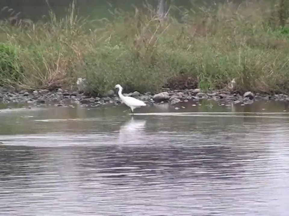 Stress Relief Cranes