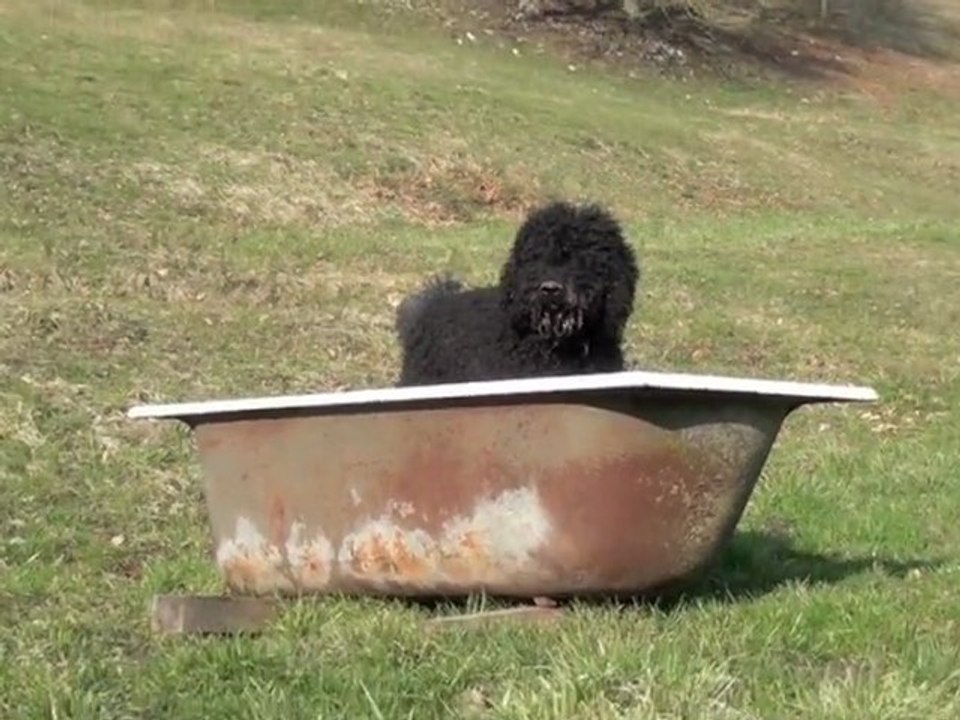 le jour se lève....