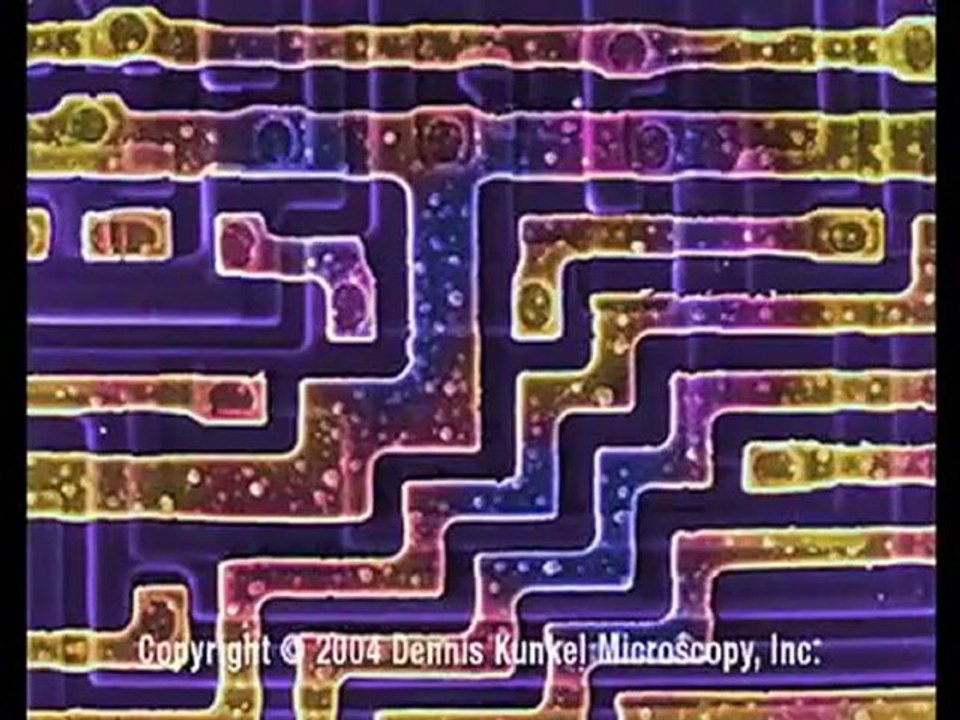 Richard Feynman Intro