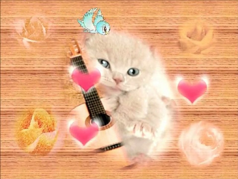 Fantasy & Cute Kitty 🐱