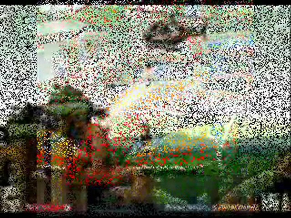 Latest Miniclip Flash Games 🎮