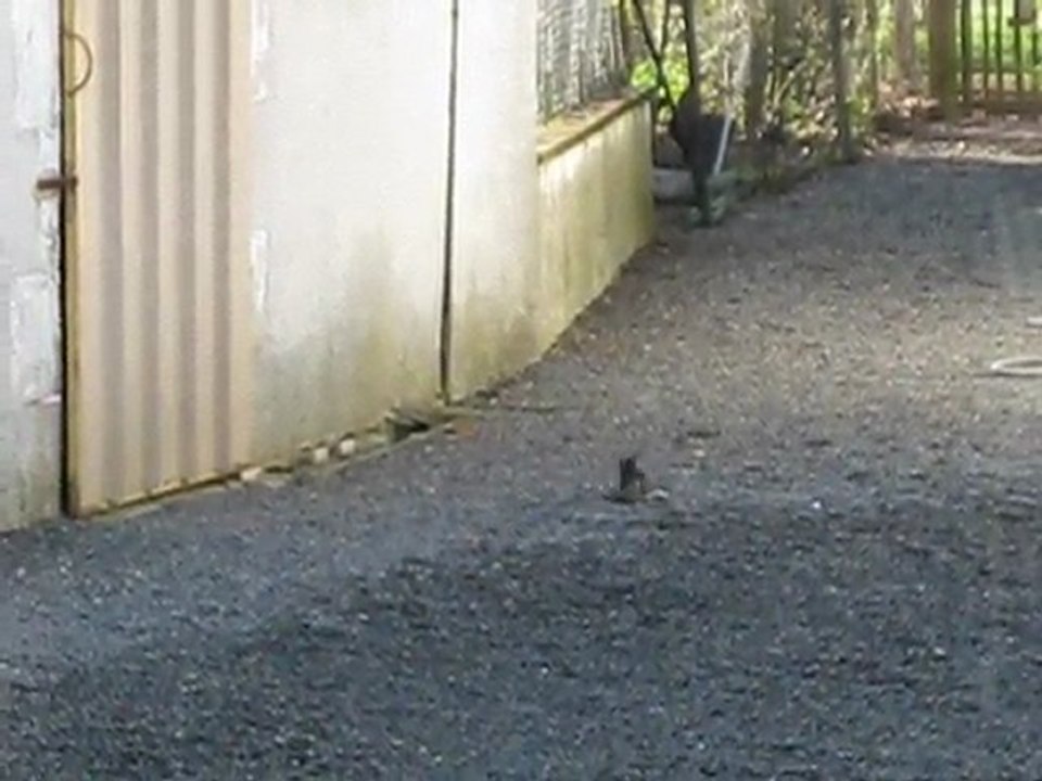 Divergences d'opinions et conflits territoriaux