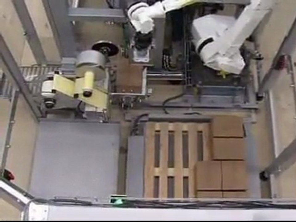 Pack- und Palettier Kombianlage mit Standardfaltkartons und