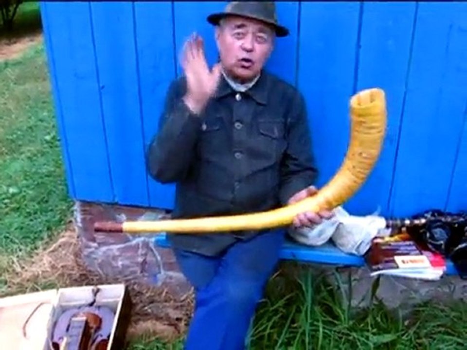 Верховинські музики (Verkhovynski muzyky)