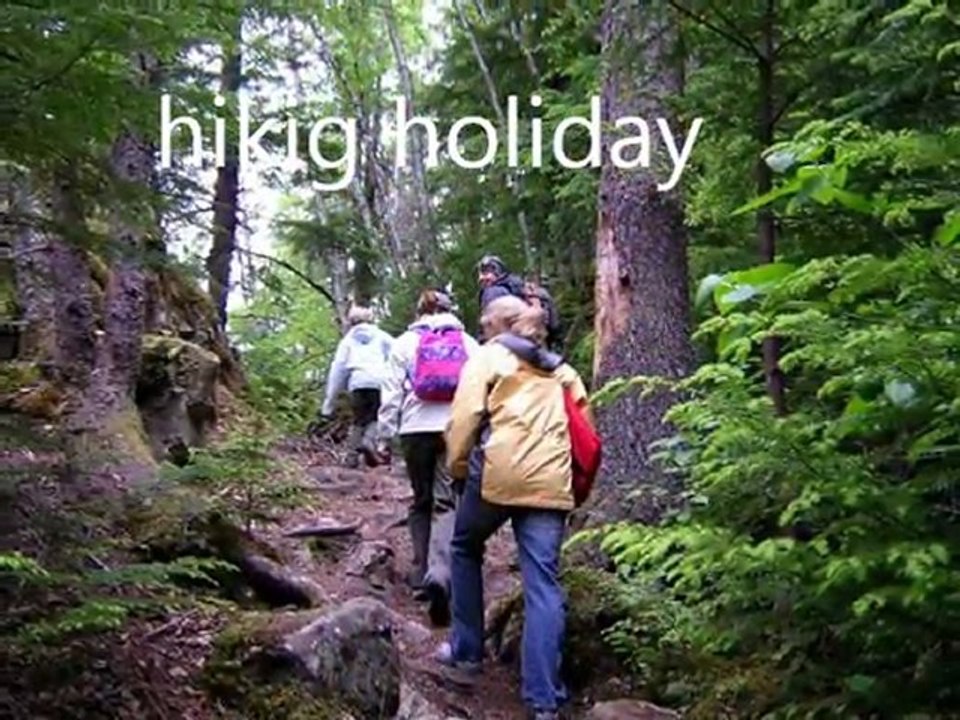 Different Types of Holidays 🌍