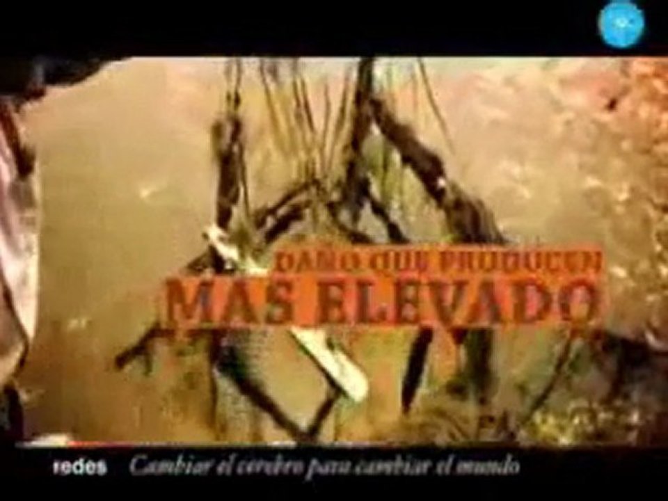 Cambiar el cerebro para cambiar el mundo 3/3