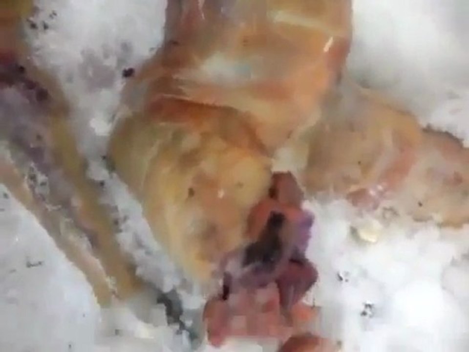 Обнаружен труп инопланетянина на сайте Strangeworlds.at.ua