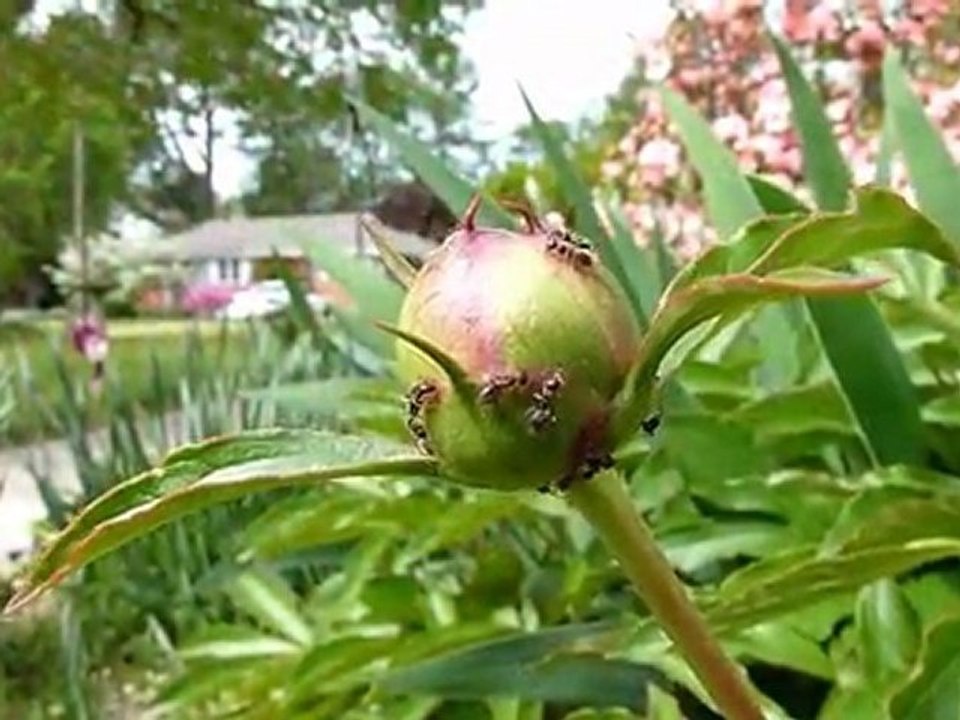 Thoughts inspired by JK