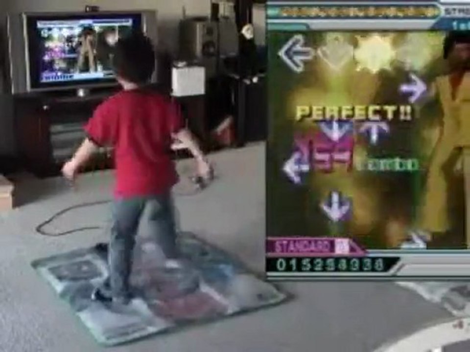 DDR Game Pads