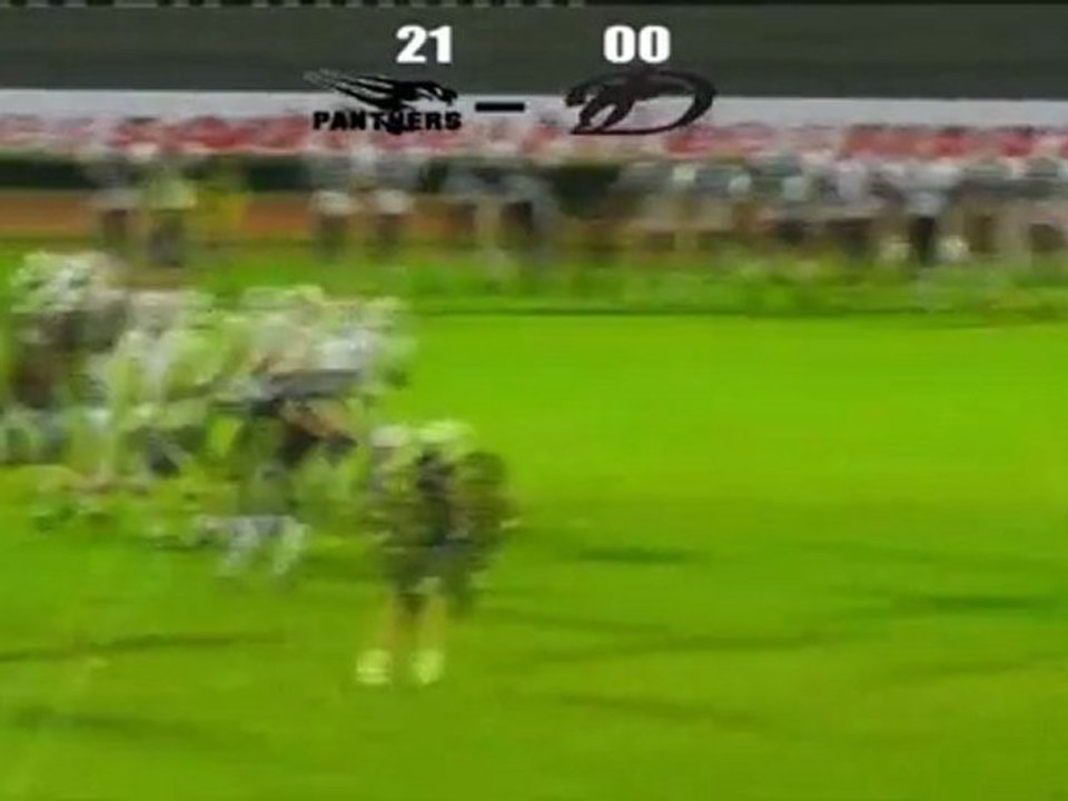 Black Panthers - Dauphins