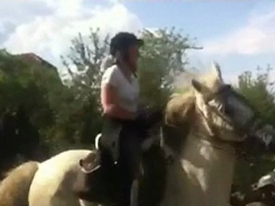 Moderne Western Filme 🎬