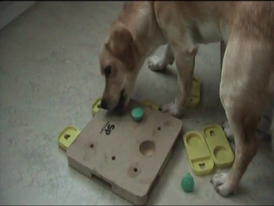 Jogos de QI - Maio 2011