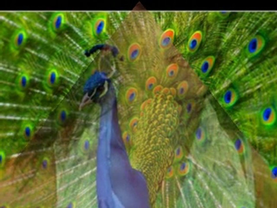 Cok Ama Cok&SiNAN ÖZEN-KATRE AKiN Album-DJMiX-i.