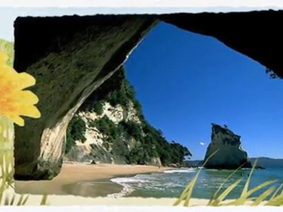 Discover Your New Life in New Zealand with Woburn International 🇳🇿