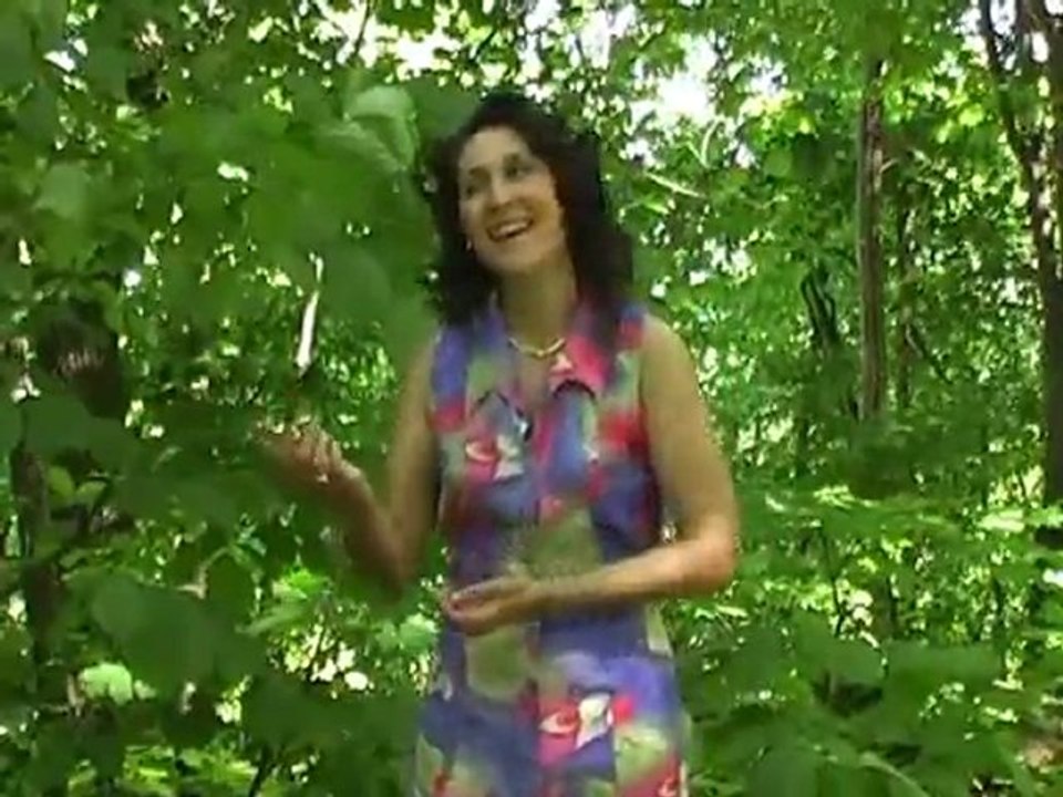 Лина Ганиева - Минем сандугачым (Соловушка)