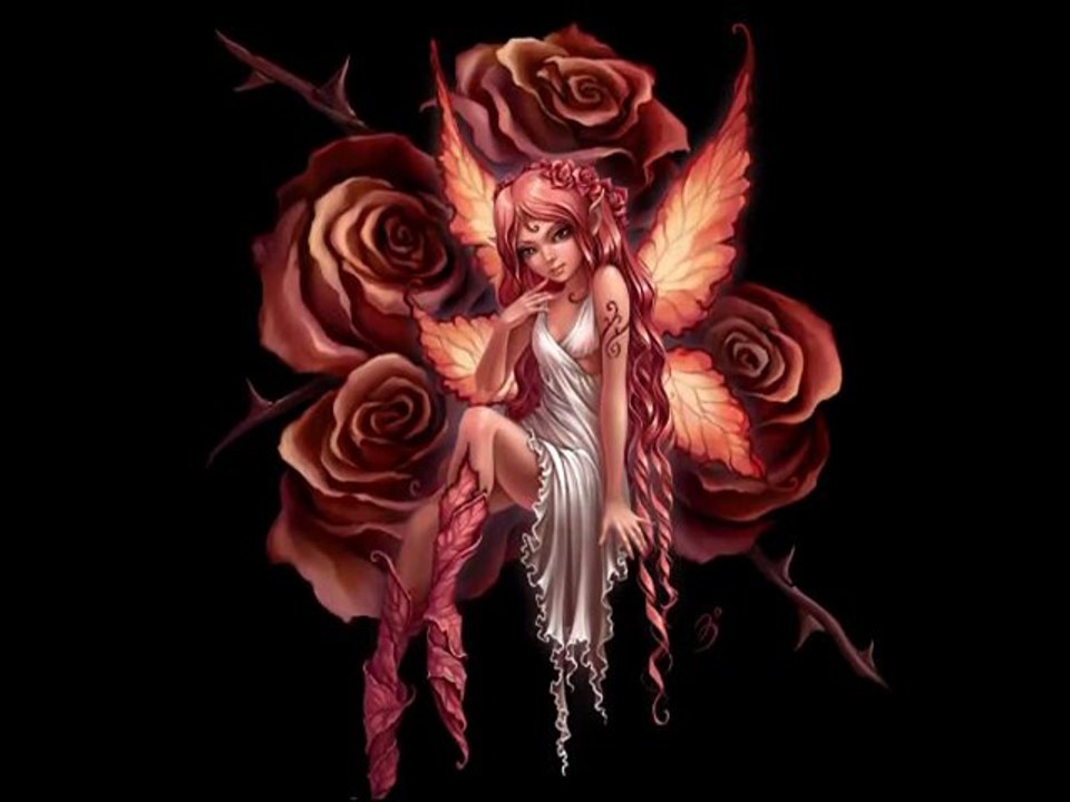 SMOKI FAZA 3 - Smoki Collection