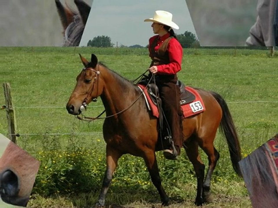 Faby & Falco: A Unique Duo