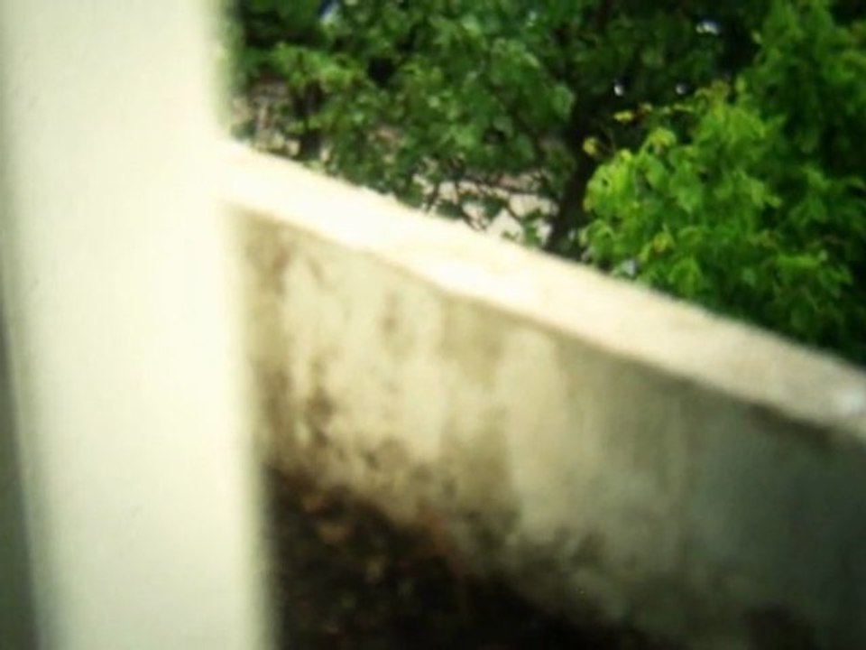 kit35 + objectif canon f1.4 50-200mm + lentille achromatique + vibrateur