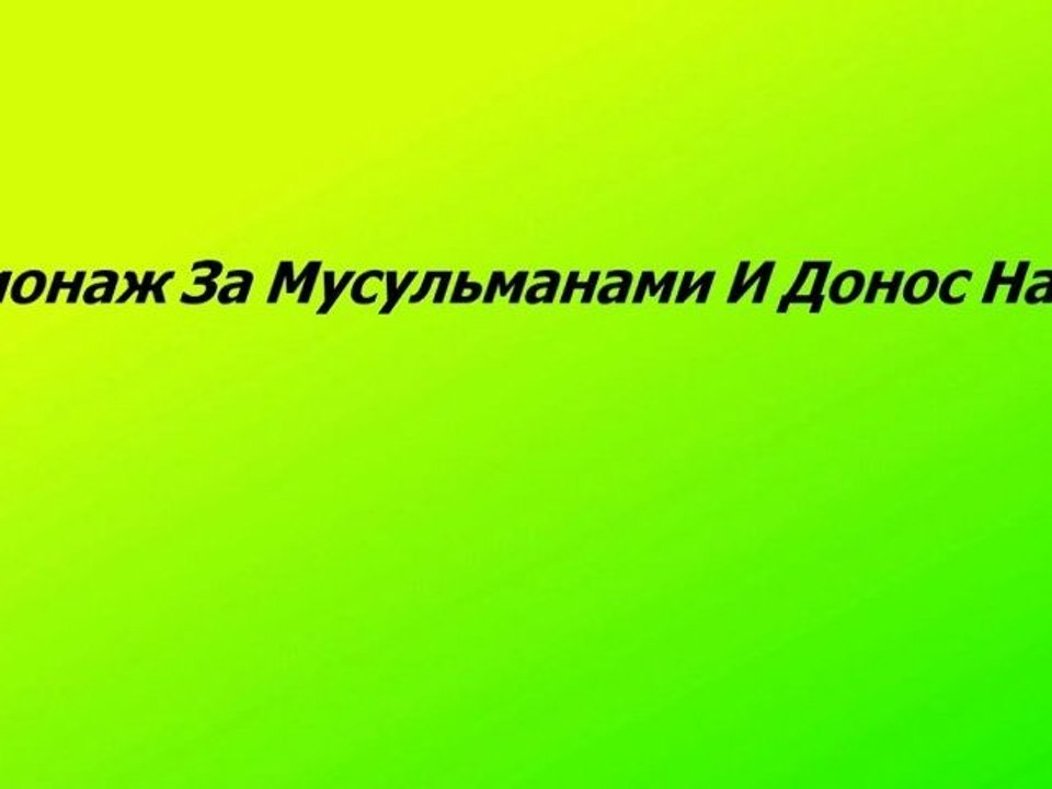 положение стукачей