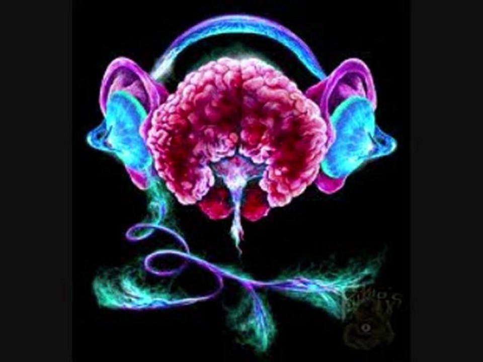 DJ SET SELEKTOR . TAKEN