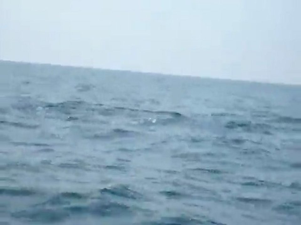 Tour Sri Lanka, Travel Sri Lanka, Hotels in Sri Lanka, Holiday in Sri Lanka