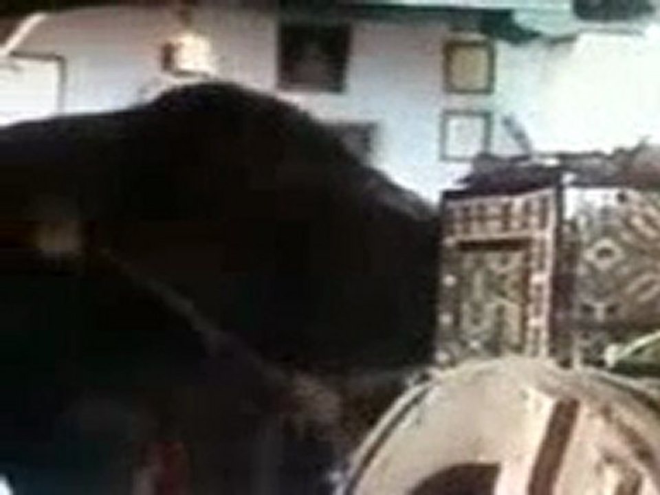 la barrouta kairouan tunisie